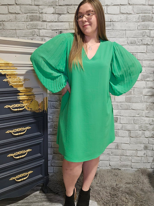 Pleated Sleeve Dress